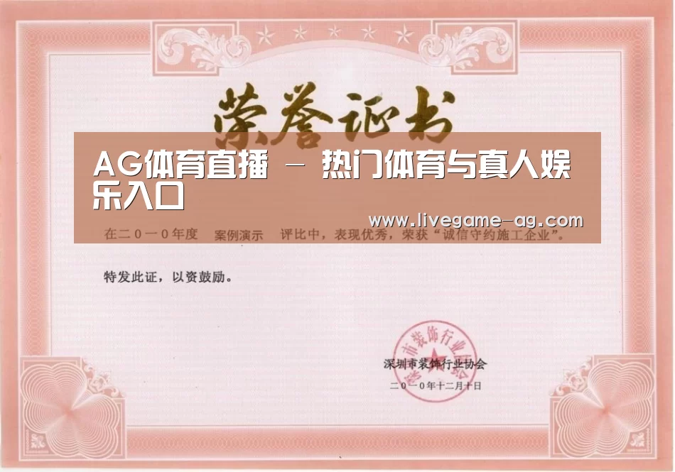 荣誉证书二(图1)