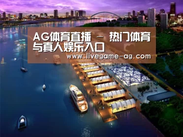 案例展示八(图1)