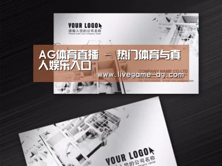 项目名称五