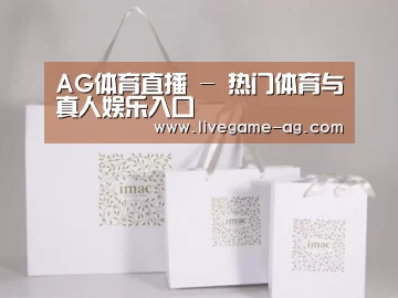 项目名称十一