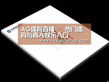 项目名称七