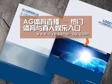 项目名称十
