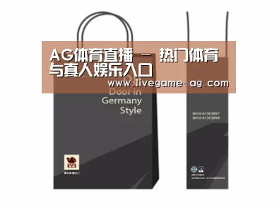 项目名称十四