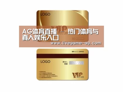 项目名称三