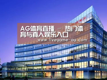 案例展示五