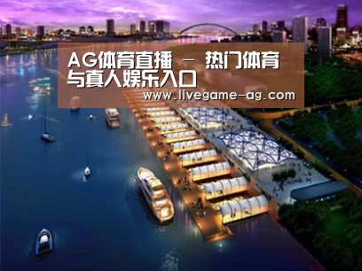 案例展示八