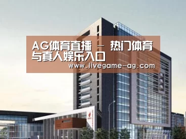 案例展示七