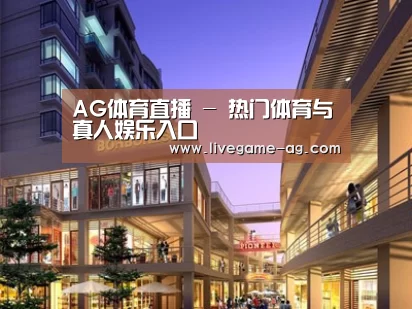 案例展示一