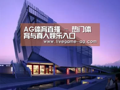 案例展示六