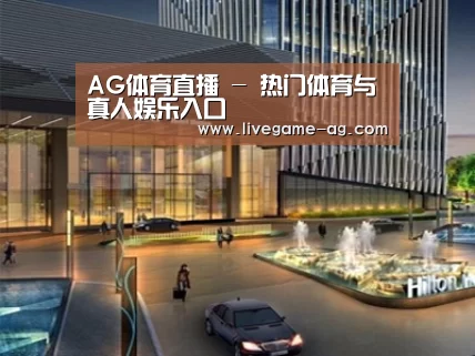 案例展示二