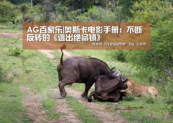 AG百家乐|奥斯卡电影手册:不断反转的《逃出绝命镇》(图4) AG真人