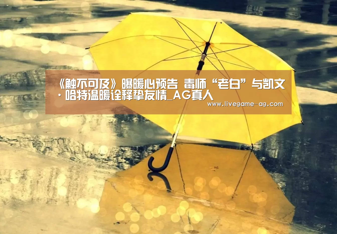 《触不可及》曝暖心预告 毒师“老白”与凯文·哈特温暖诠释挚友情_AG真人(图1) AG地址