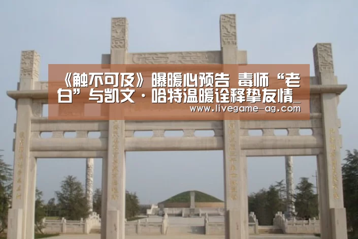《触不可及》曝暖心预告 毒师“老白”与凯文·哈特温暖诠释挚友情_AG真人(图2) AG真人