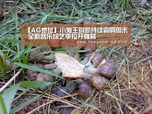 【AG地址】小鬼王琳凯持续霸屏周末 全新音乐综艺季拉开帷幕(图2) AG百家乐